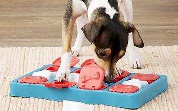 Shop Puzzle Toy For Dog Interactive Feeder Paw 3 Col