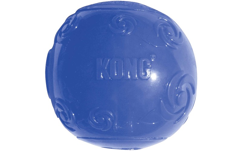 Kong Squeeze Ball