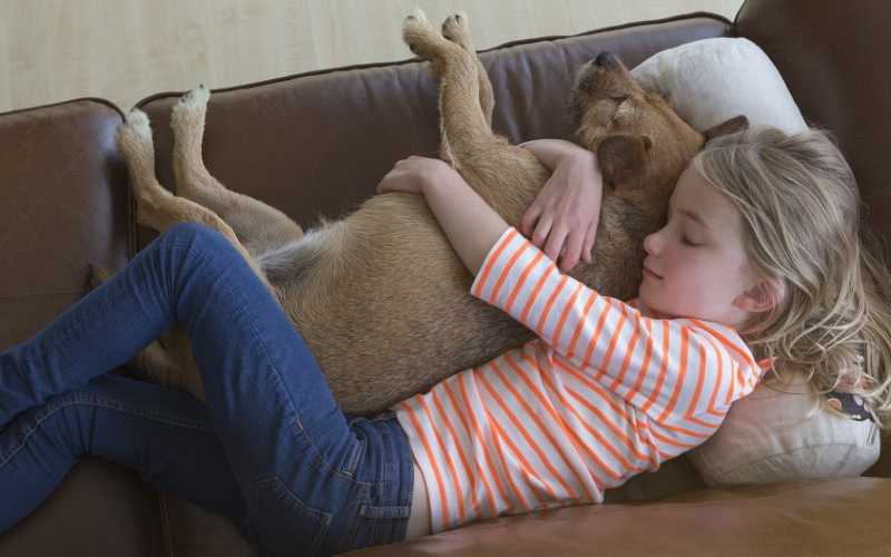 Are Patterdale Terriers Good with Kids