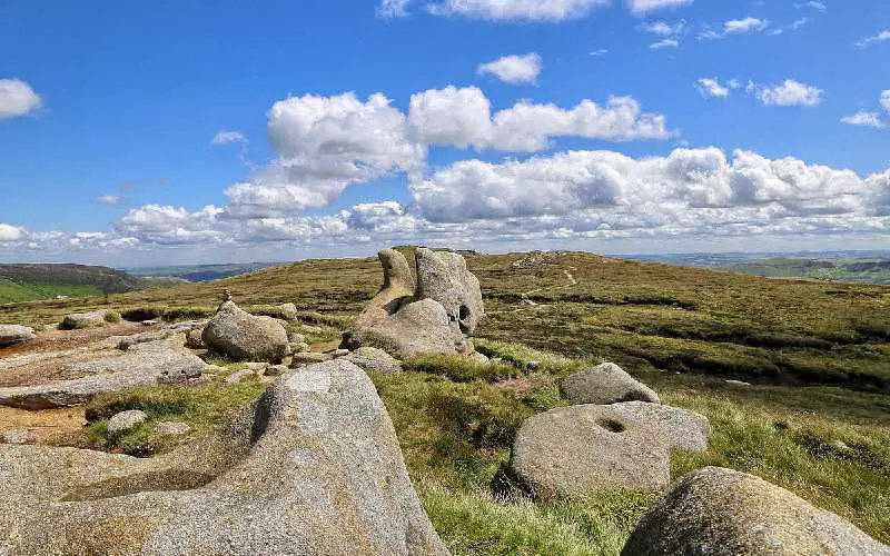 Dog Walks in Yorkshire