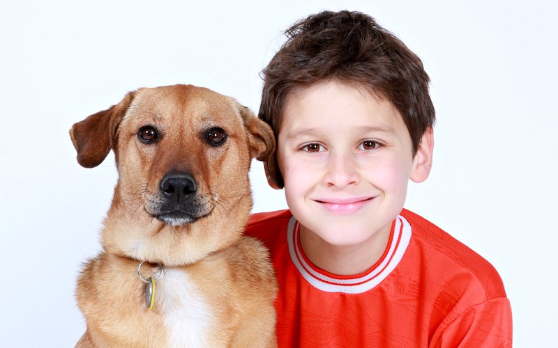 Can you foster a child if you have a dog