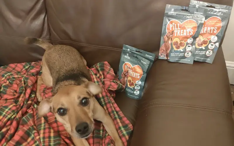 Pill Treats for Dogs review
